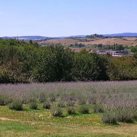 Il Lavandeto - In The Séjour à la ferme *