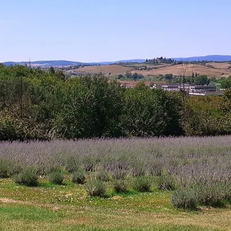 Agroturismo Il Lavandeto - In The