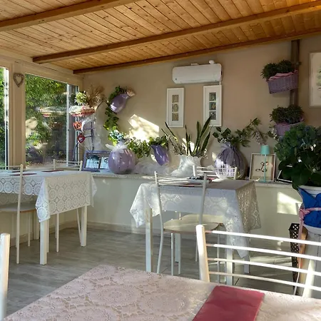 Il Lavandeto - In The Agroturismo *