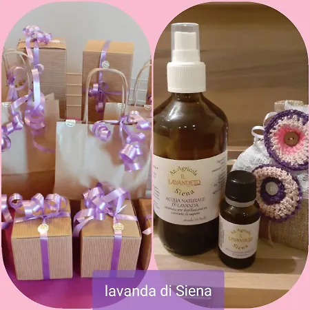 Il Lavandeto - In The